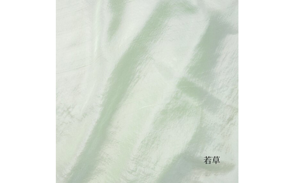 【南砺市】松井機業「城端しけ絹」美髪枕カバー　若草（緑） 若草（緑）