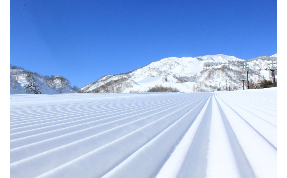 2025-26シーズン共通1日券大人