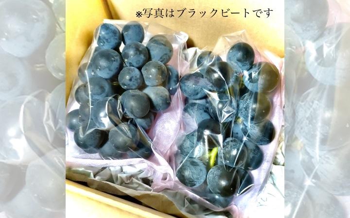ほんだ屋の「お楽しみぶどう」1kg以上