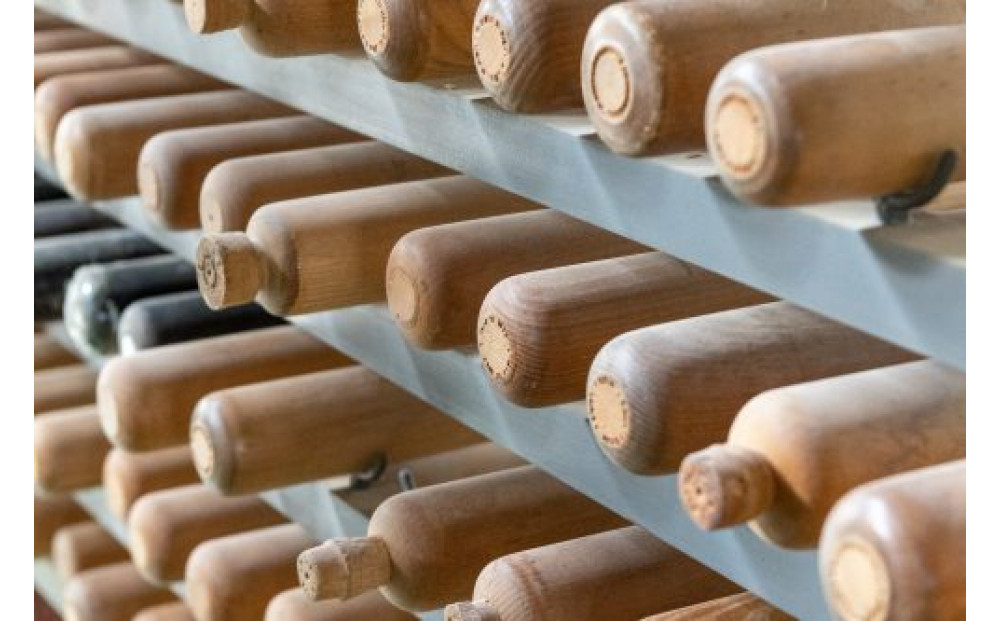 野球好き集まれ！福光バットものがたり＜体験プラン＞