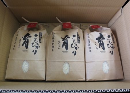 【令和7年産】富山県産こしひかり　育（はぐくみ）白米３個セット 2kg×3個 《南砺の逸品》 6kg（内容量2kg×3個）