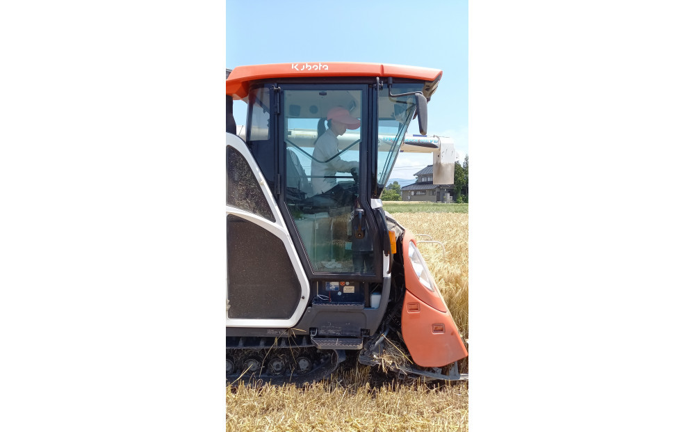 【令和7年産】みどりふぁーむのあきだわら玄米30kg こしひかりに似た甘さが特徴で人気！