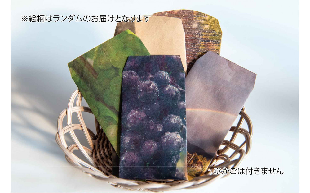 立野原 シャルドネ 2022 ワイナリー風景ポチ袋5枚セット付き