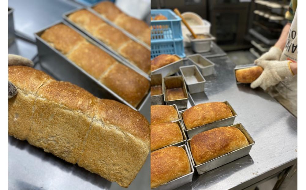 【定期便６か月】天然酵母パン　LAW　 8種類食べ比べセット 【定期便６か月】