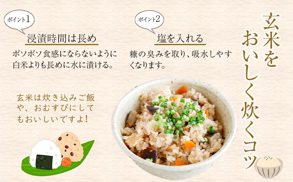 【令和7年産】富山県産こしひかり　育（はぐくみ）玄米３０kg《南砺の逸品》 玄米　30kg