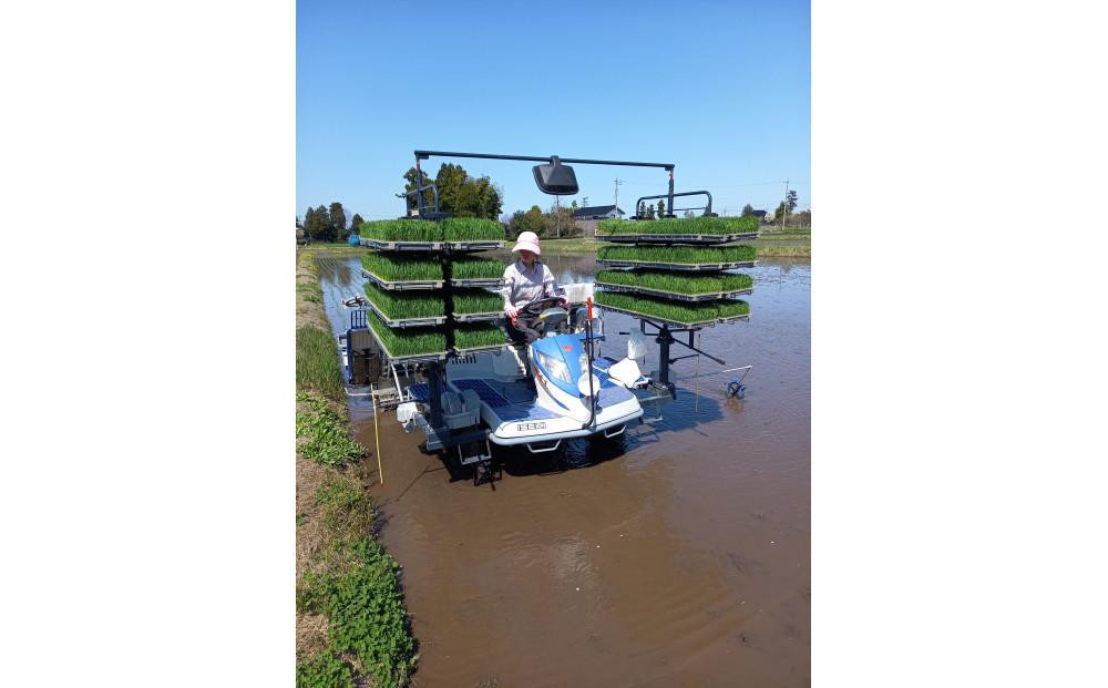 【令和7年産】みどりふぁーむのあきだわら玄米30kg こしひかりに似た甘さが特徴で人気！