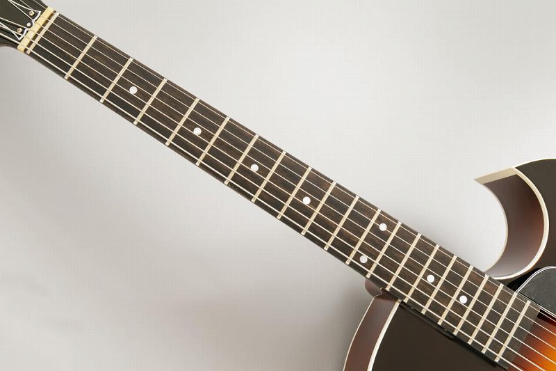 【ギター】S.Tsuji　P-1 Model《南砺の逸品》