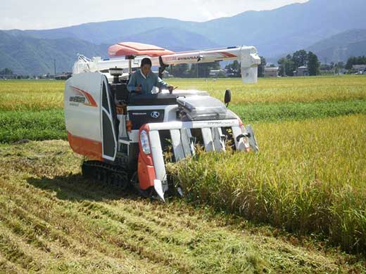 【令和7年産】厳選 　富山県産こしひかり　育（はぐくみ）白米２個セット　2kg×2個《南砺の逸品》 厳選　4kg（内容量2kg×2個）