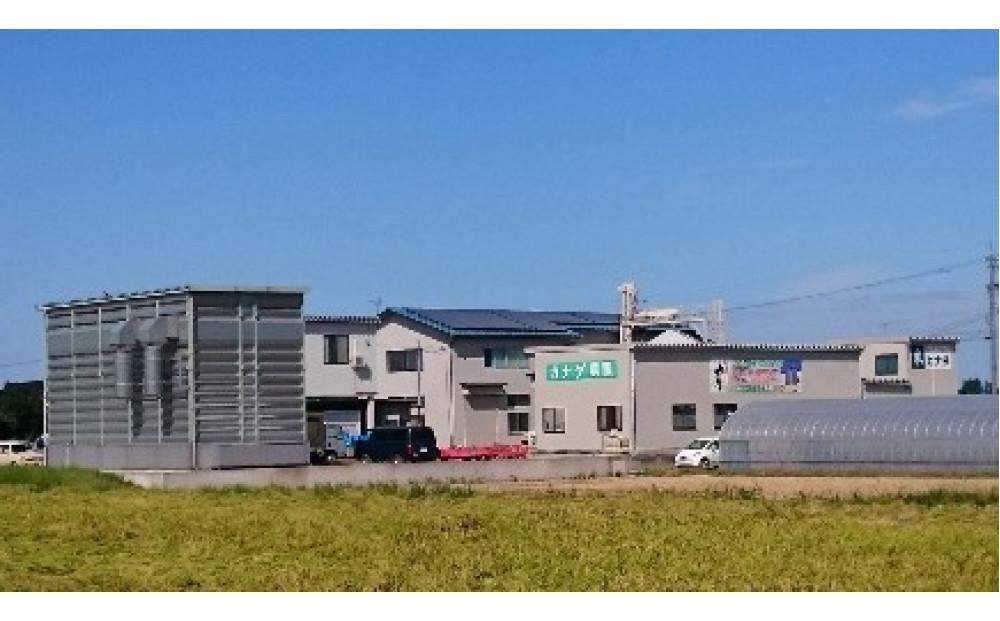 定期便・12回  富山県産こしひかり 　育（はぐくみ）  白米５kg×２袋《南砺の逸品》 定期便・12回　5kg×２袋