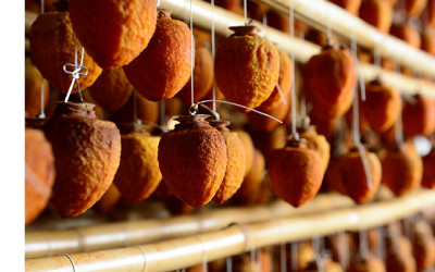 富山あんぽ柿 4L 6個入り 《南砺の逸品》