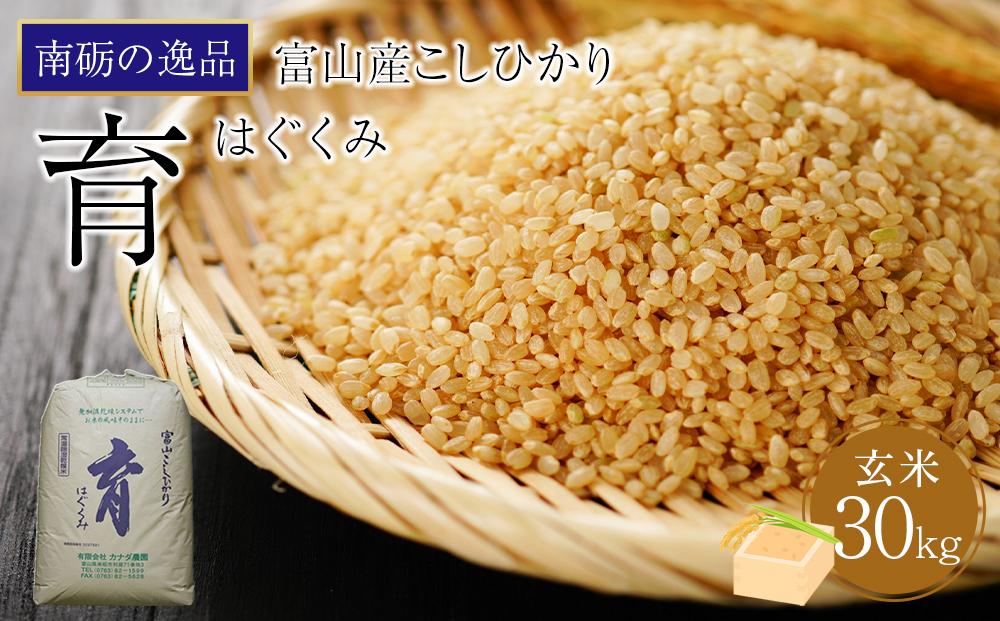 【令和7年産】富山県産こしひかり　育（はぐくみ）玄米３０kg《南砺の逸品》 玄米　30kg