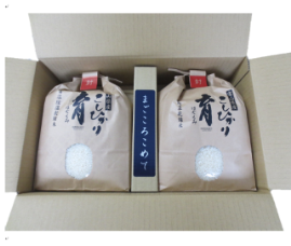 定期便・12回  富山県産こしひかり 　育（はぐくみ）  白米３kg×２袋《南砺の逸品》