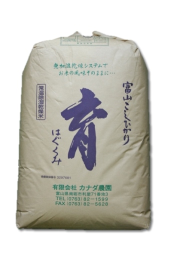 定期便・６回  富山県産こしひかり 育（はぐくみ）玄米３０kg《南砺の逸品》