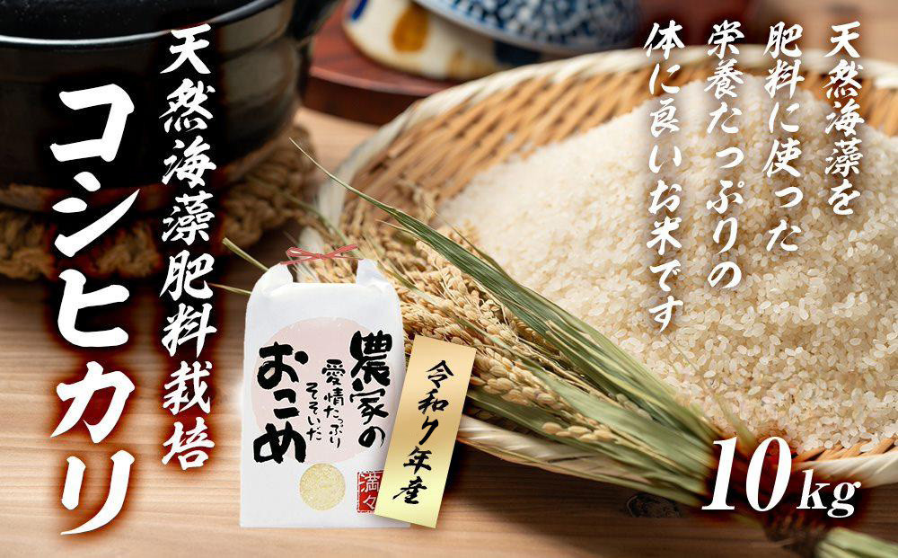 【令和7年産】みどりふぁーむの天然海藻肥料栽培コシヒカリ10kg