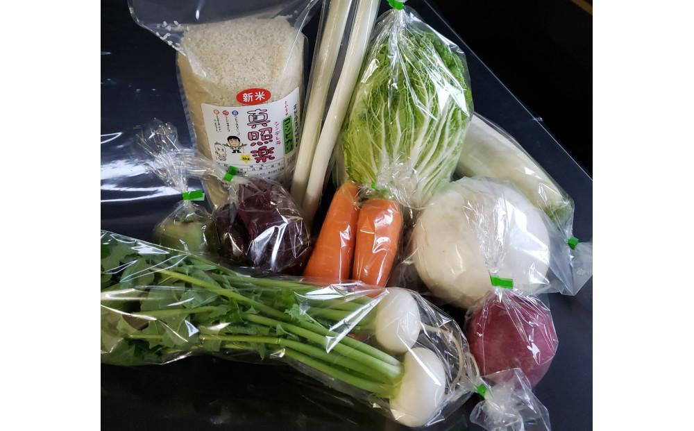 みどりふぁーむの天然海藻肥料栽培コシヒカリ3kg＆農家直送野菜セット