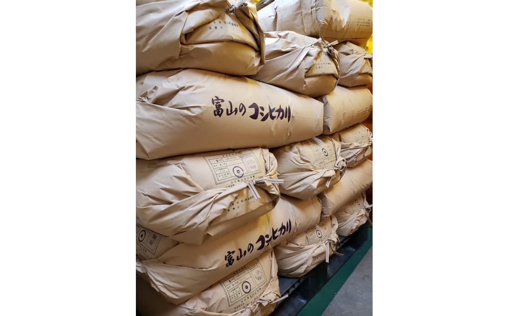 【令和7年産】みどりふぁーむのコシヒカリ 玄米 30kg コシヒカリ　玄米　30kg