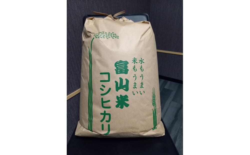 【令和7年産】みどりふぁーむのコシヒカリ 玄米 20kg コシヒカリ　玄米　20kg