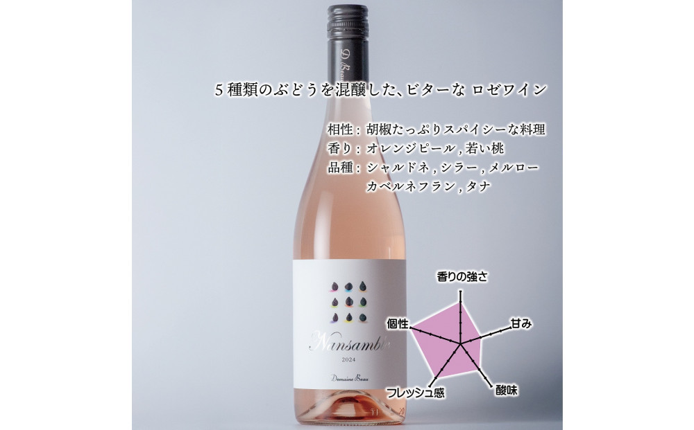 立野原ナンサンブル 2024 ワイナリー風景ポチ袋5枚セット付き