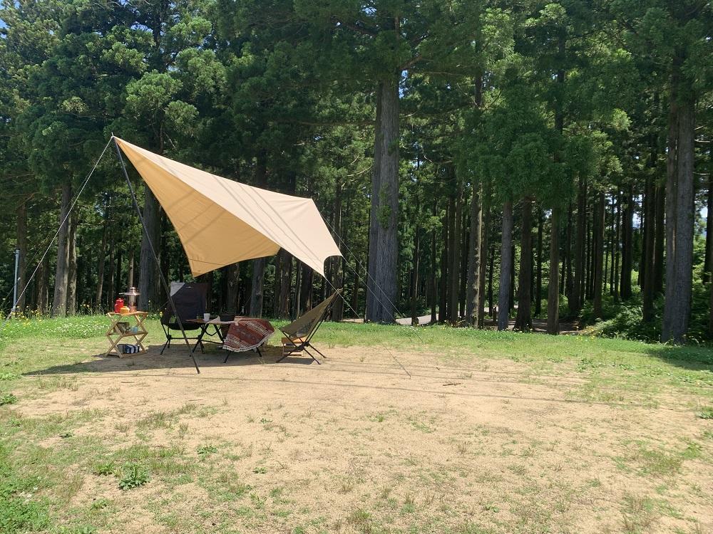 キャンプ場通常サイト利用券（5名様分キャンプ宿泊チケット） 5名分　記念品なし