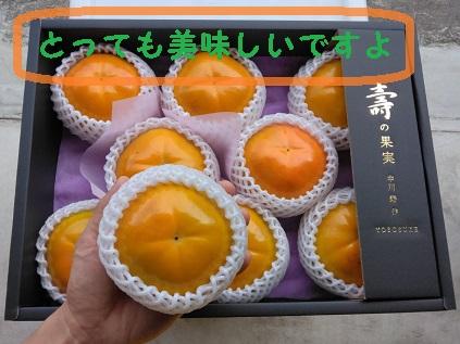 甘柿　太秋柿4L×8個入（2.45kg以上） 化粧大箱入り【2025年10月17日頃より発送】