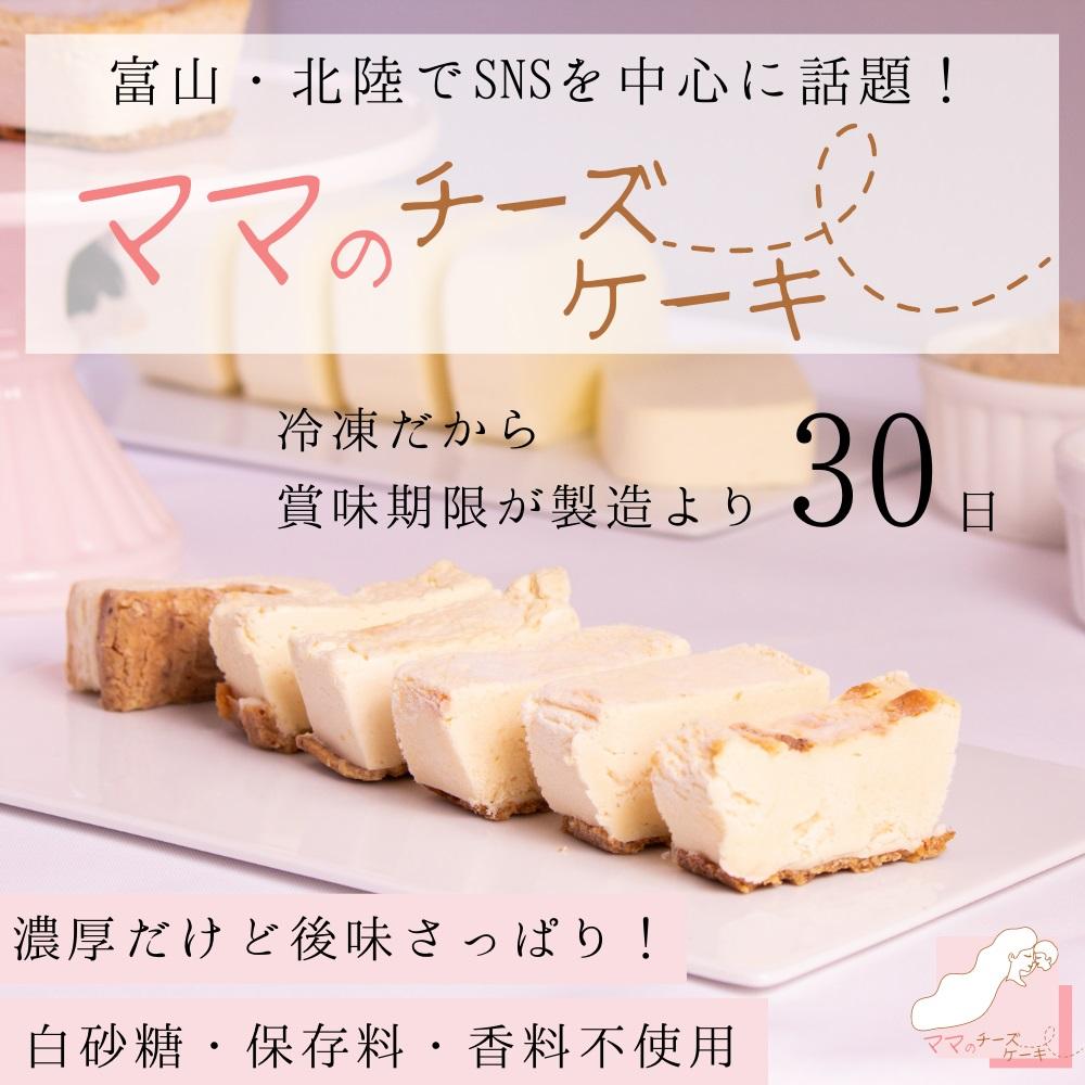 【濃厚だけど後味すっきり！】とろける食感のママのチーズケーキ チーズケーキ