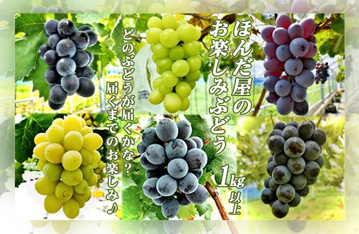 ほんだ屋の「お楽しみぶどう」1kg以上