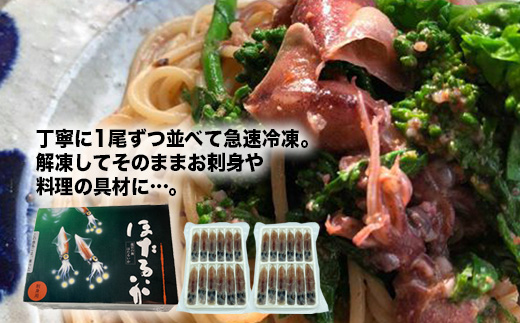 【射水市】【射水のおいしい食品】【海鮮】生冷ほたるいか ※離島への配送不可