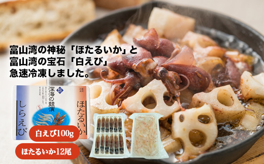 【射水市】【射水のおいしい食品】【海鮮】深海の競演ほたるいか・白えび ※離島への配送不可