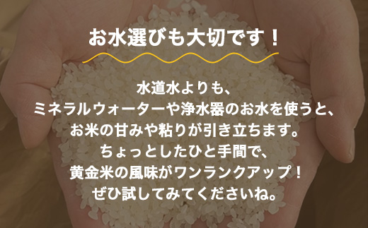 R7年度米 大江の黄金米 コシヒカリ10kg（5kg×2） ｜ 射水市 西尾農業 黄金米 射水の美味しいお米 精米 ※離島への配送不可