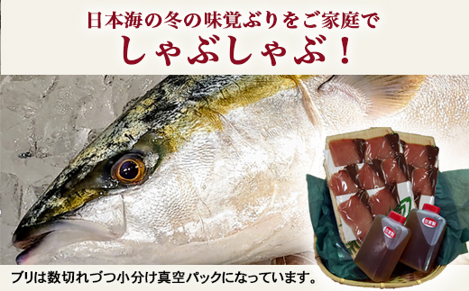 【射水市】【射水のおいしい海鮮】【新湊産】特選 ブリしゃぶセット 2人前 ※2025年12月上旬～2026年2月下旬頃に順次発送予定 ※北陸・関東・中部・近畿地方以外への配送不可