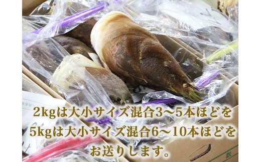 【射水市】【射水のおいしい食品】射水市黒河産 農家直送 北川さん家の たけのこ 5kg ※2026年4月下旬頃～5月中旬頃に順次発送予定 ※離島への配送不可
