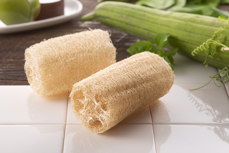 ヘチマ化粧品セット/化粧水 石けん たわし へちまここち　ボディ ビューティー 美容 /富山県射水市