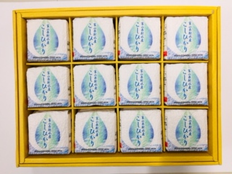 射水産 こしひかり 2合 12個入り セット 詰め合わせ ギフト 米 お米 こめ コメ おこめ 白米