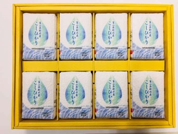 射水産 こしひかり 3合 8個入り セット 詰め合わせ ギフト 米 お米 こめ コメ おこめ 白米