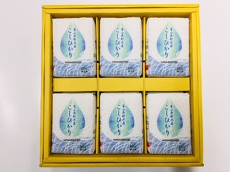 射水産 こしひかり 3合 6個入り セット 詰め合わせ ギフト 米 お米 こめ コメ おこめ 白米