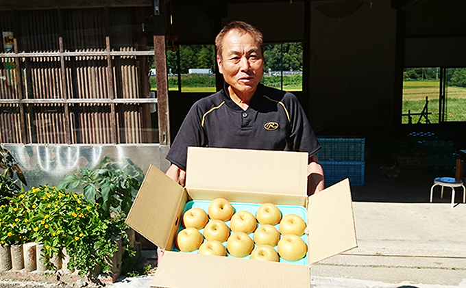 梨 射水の鳥越梨園から直送！【大門梨（新高梨）】5kg  果物 フルーツ なし 北陸 富山 ※2025年9月下旬～2025年10月上旬頃に順次発送いたします
