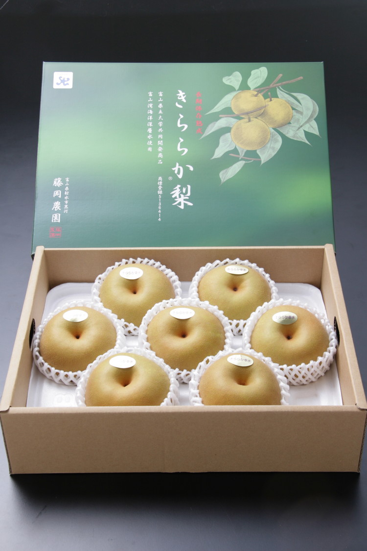 藤岡さんが作ったきららか梨（幸水または豊水）約3kg ｜ 梨 ナシ 果物 フルーツ　※2025年8月下旬～10月上旬頃に順次発送予定