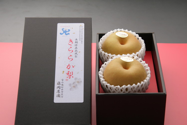 冬に味わう！藤岡さんが作った氷温保存きららか梨（幸水・豊水）2玉【大玉】 ｜ 梨 ナシ 果物 フルーツ　※2025年11月下旬～2026年4月上旬頃に順次発送予定　※離島への配送不可