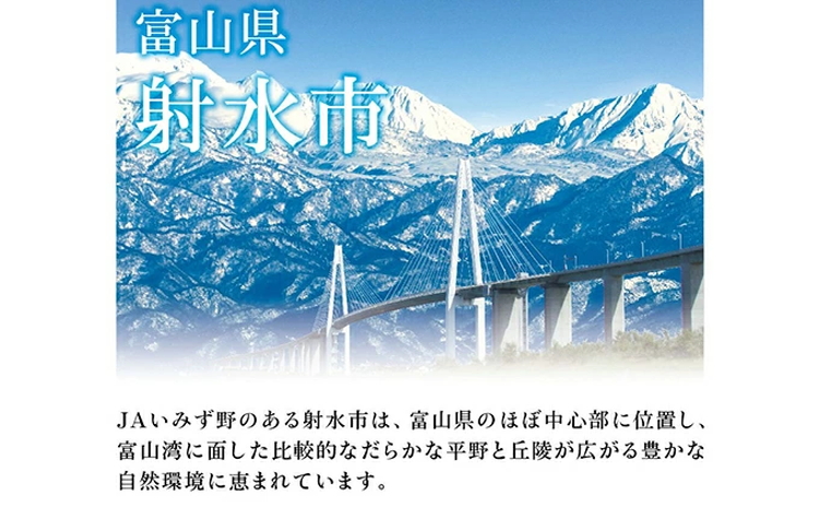 【R7年度産米】越中いみず野米一番 10kg（コシヒカリ）｜米 お米 令和7年産米 ブランド米 銘柄米 等級検査 1等米 こめ 10キロ 送風乾燥 色彩選別 低温貯蔵 白米 小分け 送料無料 富山県産 射水市産 ※2025年9月中旬～2026年8月下旬頃に順次発送予定
