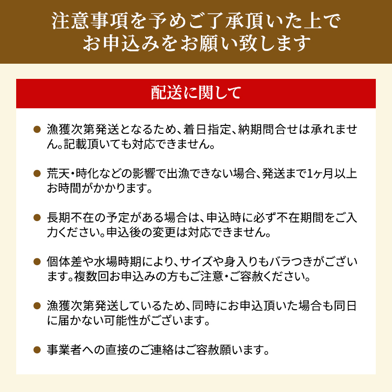 射水の海の幸！定期便 4カ月連続（1月～4月）でお届け！