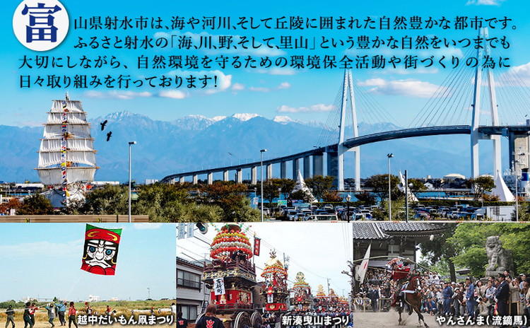 富山県射水市　応援寄附（返礼品なし） 5,000円