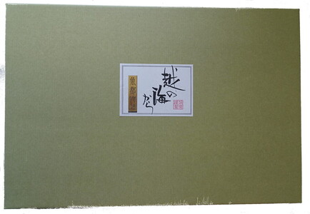 惣菜 特選 越の海から セット 富山 おかず ごはんのお供 たら 鮭 にしん ぶり ブリ 鰤 昆布 ほたるいか ホタルイカ 白エビ 白えび 白海老 加工食品 魚 魚介類 魚介 海産物　 富山県射水市
