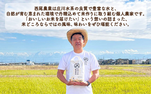 R7年度米 大江の黄金米 コシヒカリ10kg（5kg×2） ｜ 射水市 西尾農業 黄金米 射水の美味しいお米 精米 ※離島への配送不可