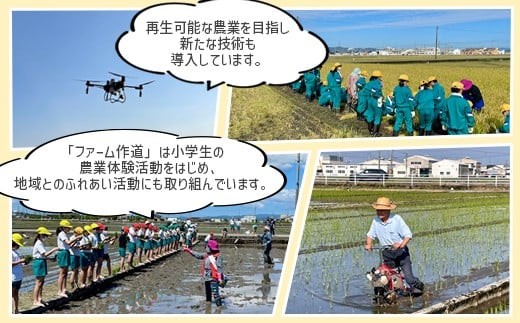 【3ヶ月定期便】【射水市】【射水の美味しいお米】ファームつくりみちのお米 作道米 R7年度産こしひかり5kg【精米】 ※離島への配送不可