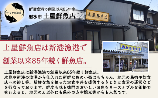 【射水市】【射水のおいしい海鮮】【新湊産】自家製 おまかせ干物漬魚セット 松8種 ※離島への配送不可