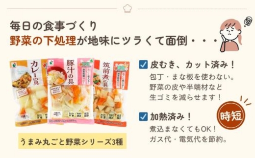 「うまみ丸ごと野菜シリーズ3種（カレーの具、豚汁の具、筑前煮の具）」×各3袋 ※離島への配送不可