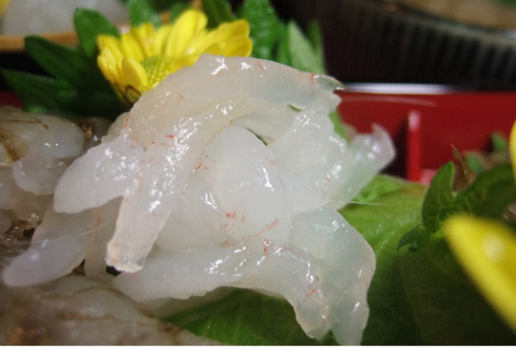 シロエビ刺身100g・シロエビ殻付き150gセット