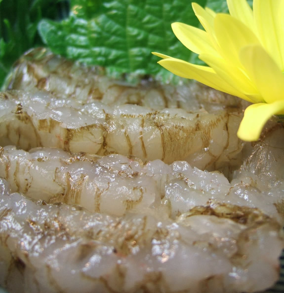 シロエビ刺身100g・シロエビ昆布締め80gセット