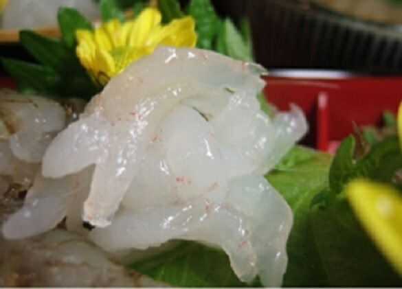 ぷりぷりっ！贅沢4点セット（シロエビ刺身・殻付きシロエビ・シロエビ・甘えび昆布〆）