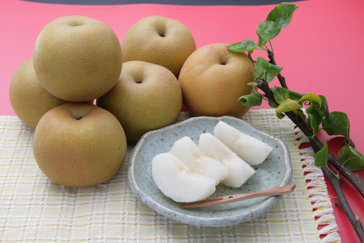 冬に味わう！藤岡さんが作った氷温保存きららか梨（幸水・豊水）2玉【大玉】 ｜ 梨 ナシ 果物 フルーツ　※2025年11月下旬～2026年4月上旬頃に順次発送予定　※離島への配送不可